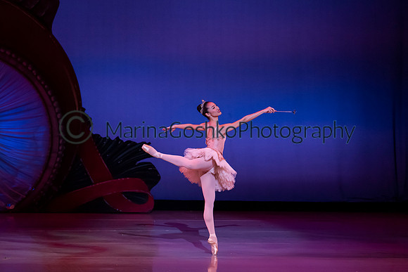 DSC_1816