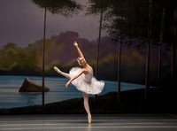 ABA Swan Lake Performance